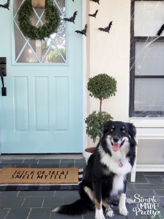 Keep your Halloween front door decorations simple this year while creating spooky Halloween decorations for your Fall front door.  These are creative ideas for homemade Halloween decor that's also cheap Halloween decor and goes with a teal blue front door. The result is Simple Halloween Front Porch Decor that adds the perfect touch of Halloween outdoor decorations. #halloweenfrontporchdecor #DIYHalloweendecor
