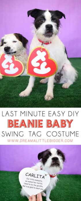 Cricut Halloween Beanie Baby Costume