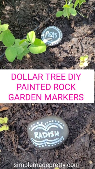 Crafter's Square Paint Pen Painted Rocks for Garden Veggies and Herbs