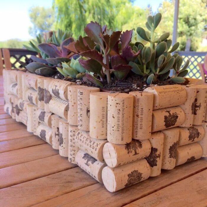 Cork Planters for Earth Day