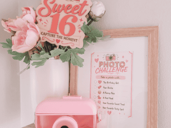 Decorative Sweet 16 photo booth sign with pink camera and flowers for birthday celebration.